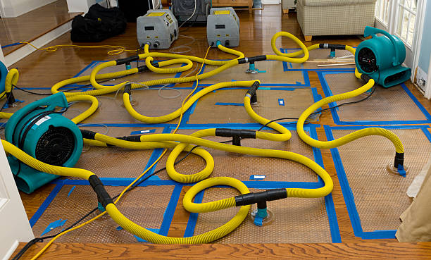Professional Sewage Cleanup technician working in Harwood, ND