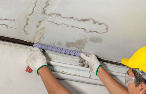 Affordable Water Damage Repair solutions in Harwood, ND